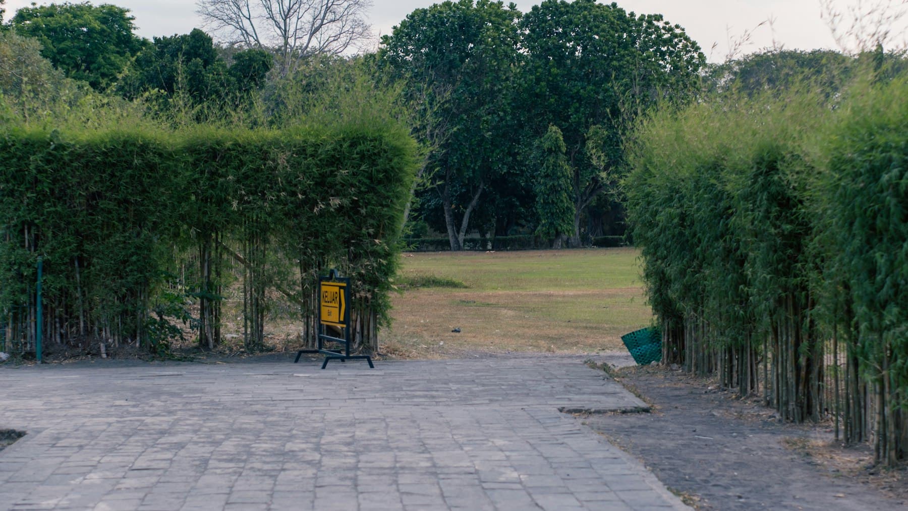 Sample backyard and fence line photography.
